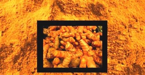 Turmeric The Wonder Spice Core Focus