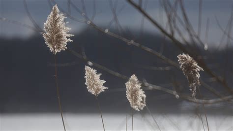 Weather in Rochester NY: Warmer nights, less snow in winter