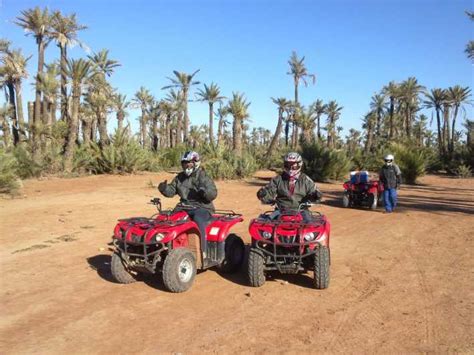 Palmeraie Marrakech Quad Biking Erlebnis Getyourguide