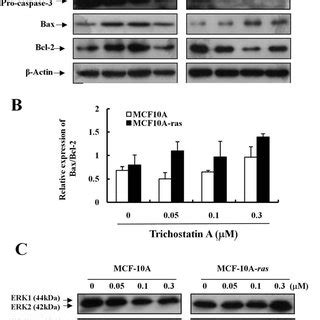 Effects Of Trichostatin A On Ras Oncogene Expression Cell