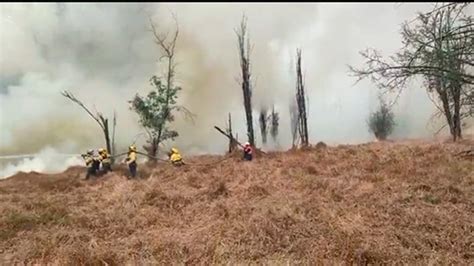 Incendio Consume Hect Reas En Parque Ecol Gico De Xochimilco