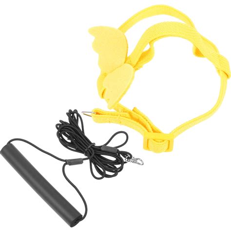 4 Sets Bird Leash Trains Chicken Harness Cockatiel Parrot Outdoor