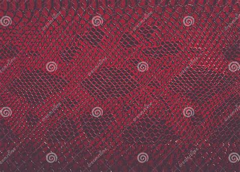 Snake Skin Background Stock Photo Image Of Material 84455762