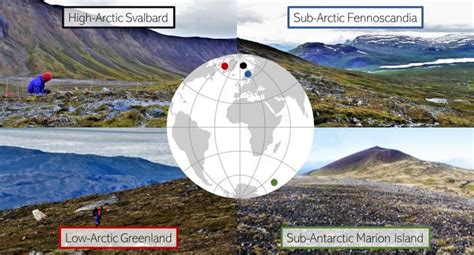 Tundra Vegetation Shows Similar Patterns Alon Eurekalert