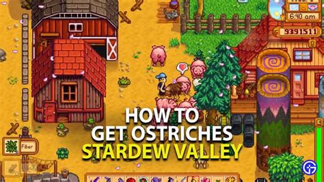 How To Get Ostriches In Stardew Valley - Gamer Tweak