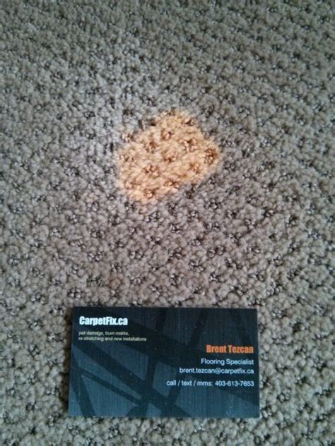 5 Miraculous Steps To Rescue Your Bleach-Beaten Carpet