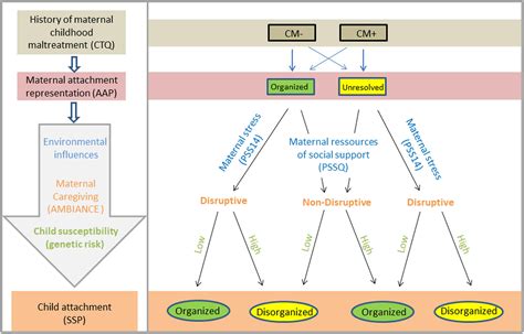 Frontiers Identifying Risk And Resilience Factors In The