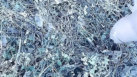 Very Hot Old Man From London Gay Cum Tribute Porn A4 XHamster