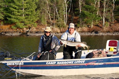 Ontario Hunting And Fishing At Camp Narrows Lodge Rainy Lake