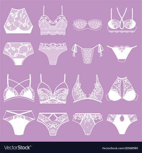 Collection Of Lingerie Panty And Bra Set Vector Image