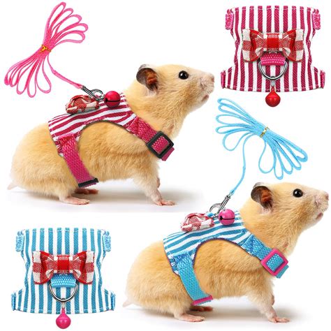 Hamsters In Clothes