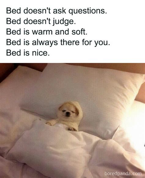 35 Funny And Relatable Memes Posted On The Instagram Page Introvert