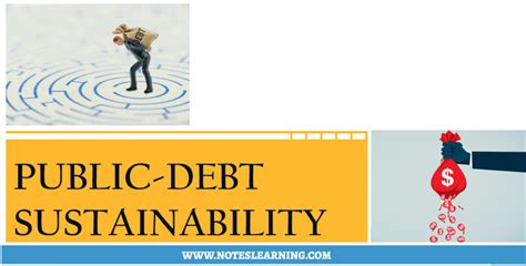 What Is Public Debt Sustainability Notes Learning