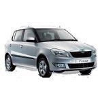 Skoda Fabia Car Colours | 5 Skoda Fabia Colors Available in India