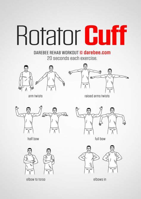 14 Rotator cuff ideas | rotator cuff, shoulder workout, rotator cuff ...