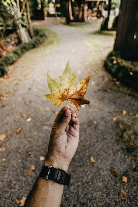 What The Heck Does Capacity Mean For Nonprofits Mind The Gap