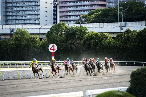 東京シティ競馬 Tck に4・6・12人のグループ席 爆誕！ グルメモバイルオーダーやトラッキングビューで楽しさブースト！ 東京ダービーの興奮