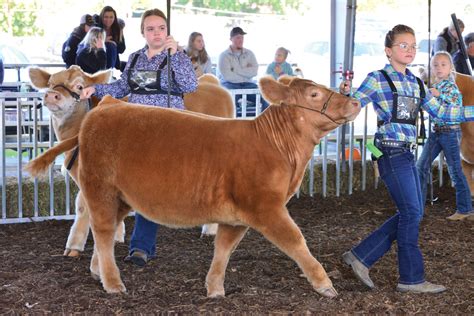 Families are upset about the high cost of lawrence eagle tribune obituaries 18