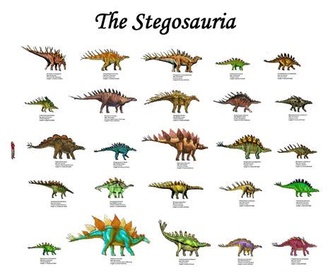 Herbivore Dinosaurs