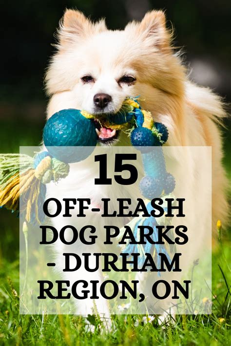 16 Amazing Off Leash Dog Parks In Durham Region Artofit