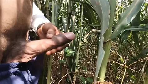 Seventy Year Old Man Jerks Off American Gay Close Up Masturbation Porn Xhamster