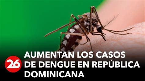 Aumentan los casos de dengue en República Dominicana los médicos piden