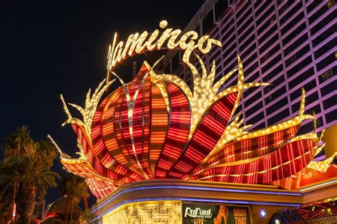 Flamingo Las Vegas In Las Vegas Nv Editorial Photography Image Of