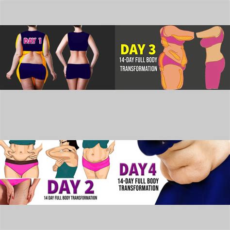 14 Day Full Body Transformation Program Workout Collection Skimble Workout Trainer