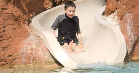 Stylish Inground Pool Slides For Luxury Pools Cox Pools Fl