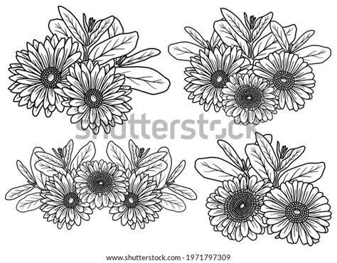 Hand Drawing Sketch Flower Line Art Stock Vector Royalty Free