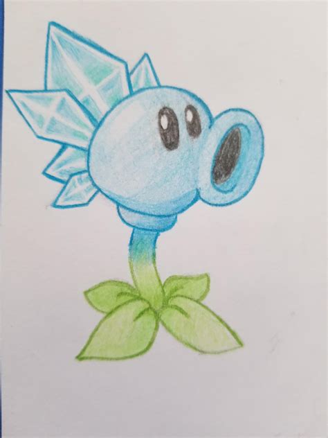 How To Draw A Ice Peashooter Step By Step