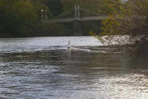 Warwickshire Carp Fishing Lakes Near Me Discover The Best Fishing Spots