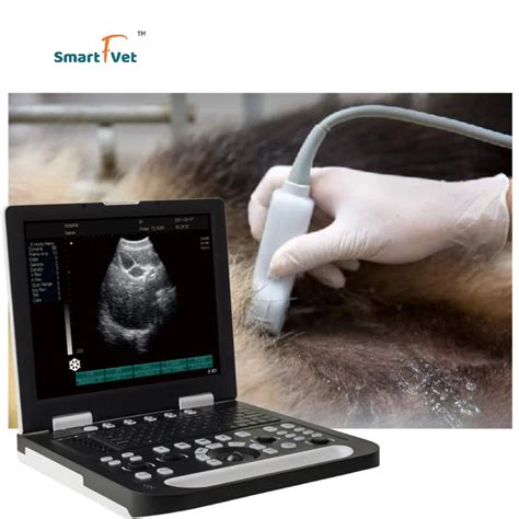Veterinary Portable Laptop Ultrasound Scanner