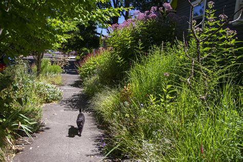 Henrietta Strolling Along Garden Scott Weber Flickr