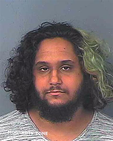 Hernandez Alan Hernando County Mugshots Zone