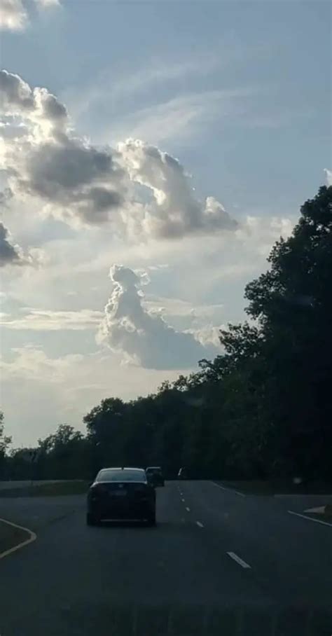 10 Amazing Dog Shaped Cloud Photos That Prove All Dogs Go To Heaven