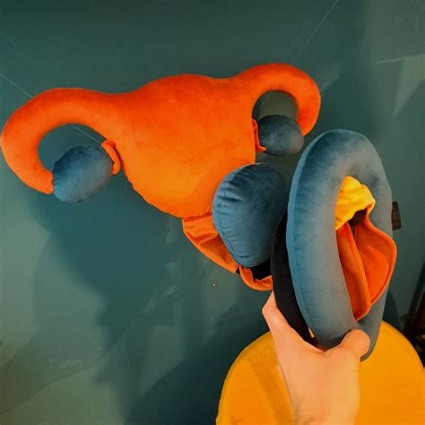 Vulva Detachable Clitoris Uterus And Bladder Pink Pillow Set Plushy Puppets For Sex