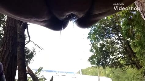 Fat Pussy Peeing Videos XVIDEOS