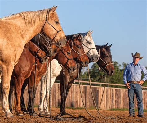 Chris Cox Horsemanship First Wife