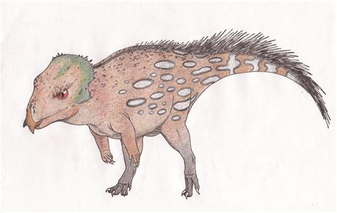 Aquilops By Dontknowwhattodraw94 On Deviantart