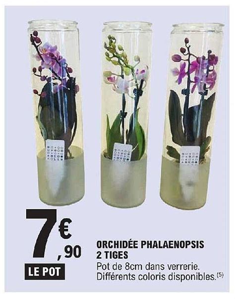 Promo Orchidée Phalaenopsis 2 Tiges chez E Leclerc iCatalogue fr