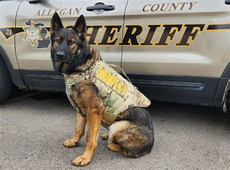 West Michigan Police Dog Receives Protective Vest