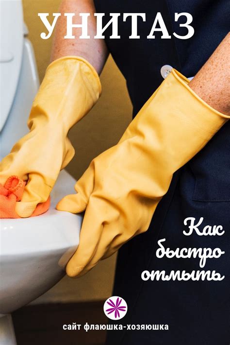 Полезные советы для дома. Унитаз и уборка по системе флайледи: как все ...