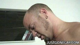 Park Wiley 2022 Free Gay Pornstar Videos XHamster