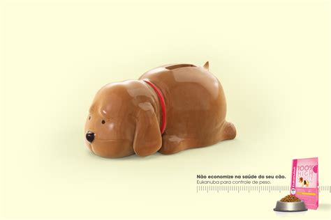 Eukanuba on Behance