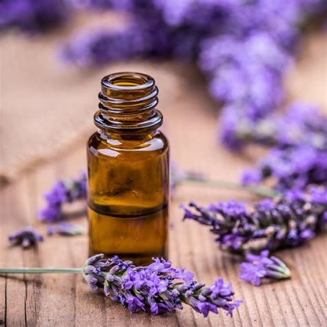 La Aromaterapia Y Sus Beneficios Para La Piel Palmolive