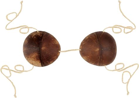 Beistle Coconut Shell Bra Bikini Top Review
