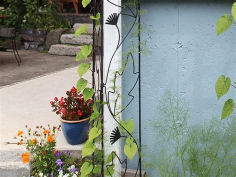 Wrought Iron Trellises Vinland Valley Nursery