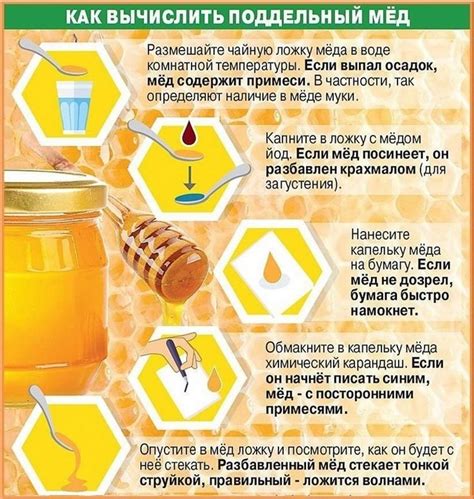 Гречишный мед — полезные свойства и противопоказания, вред и из чего делают