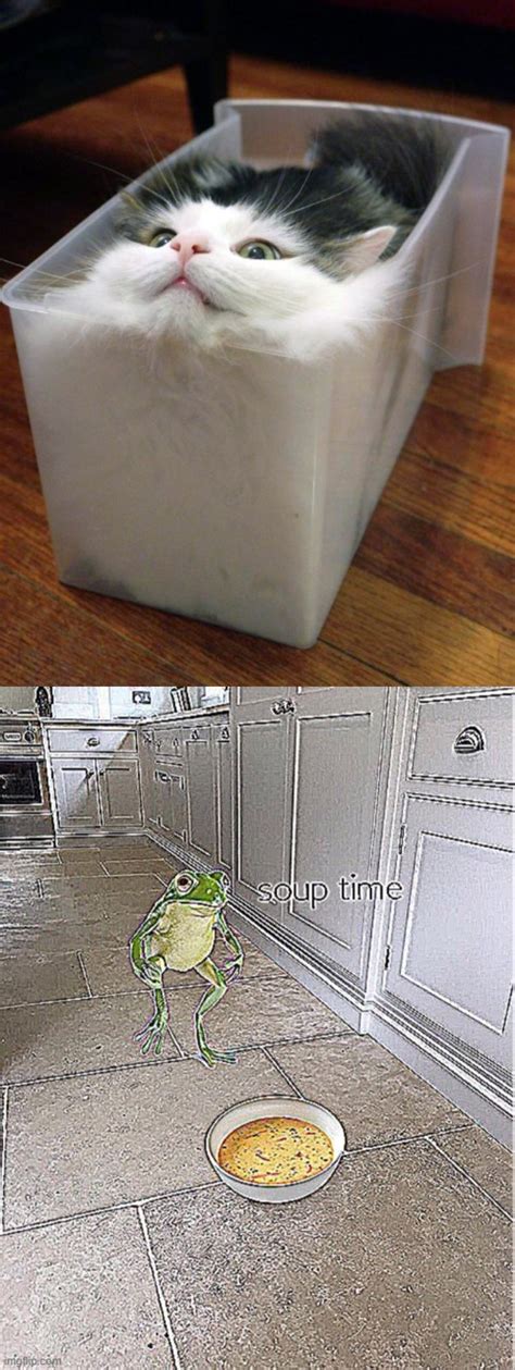 Cat Soup Imgflip